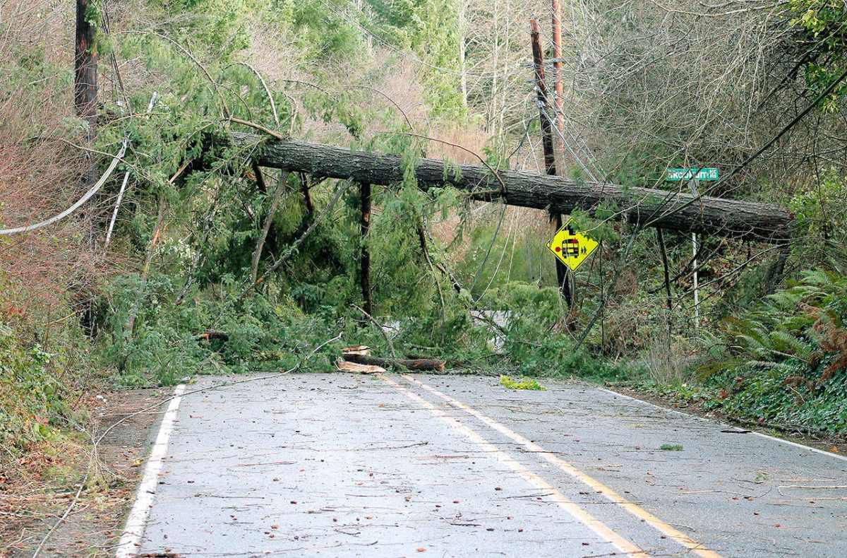 Wind Storm